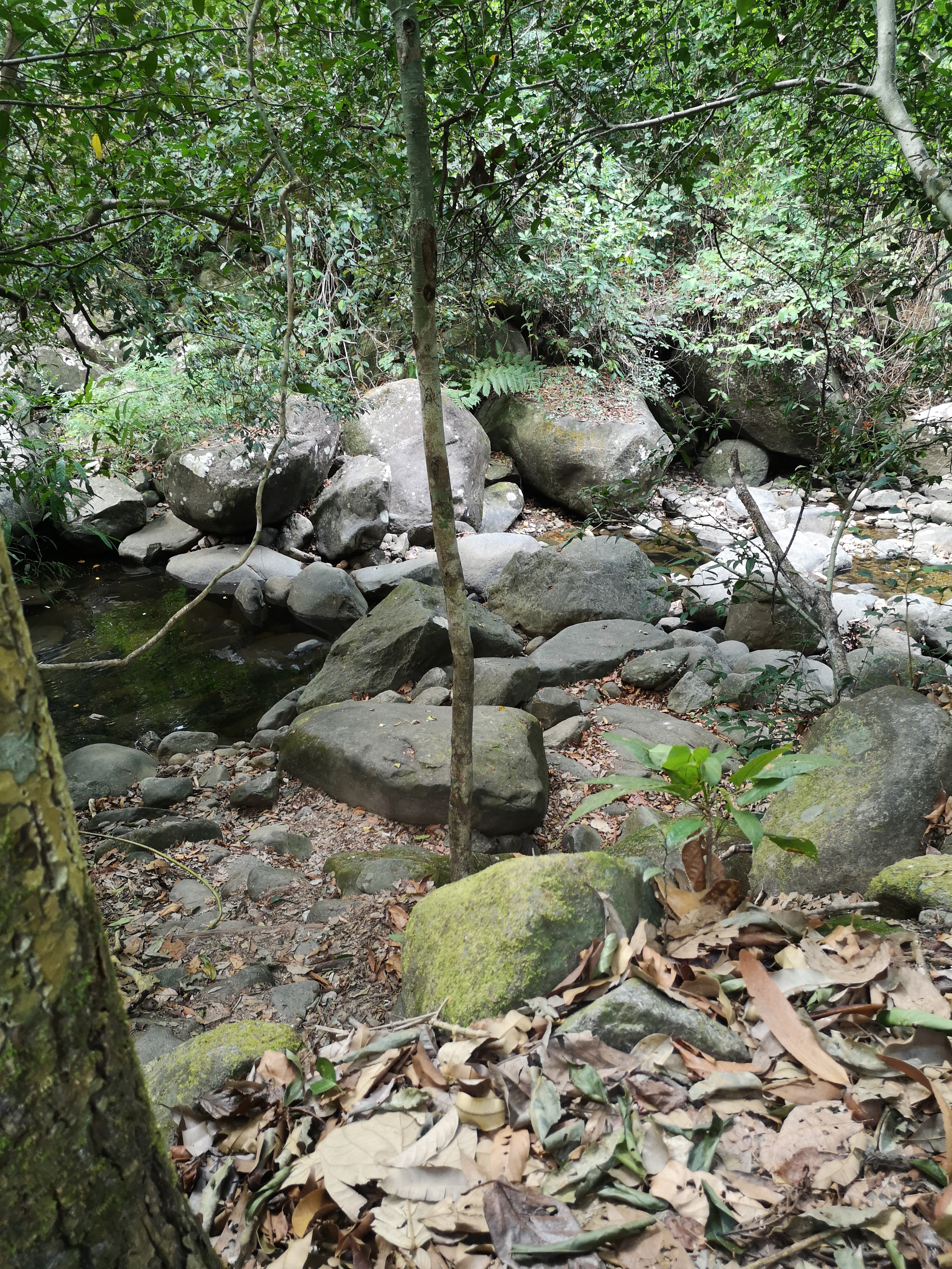 Farbfoto von einem Wasserfall am Khao Chamao Urwald im Khaochamao-Khaowong National Park in Thailand. Im April 2023. Fotograf: Erwin Thomasius.