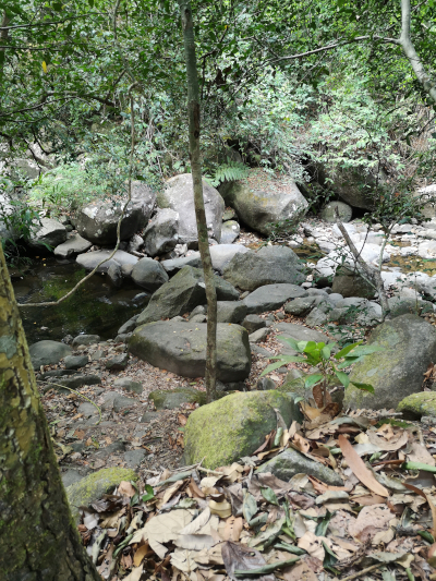 Foto vom Khao Chamao in Thailand. Im Khao Chamao und Khao Wong Nationalpark. Im April des Jahres 2023. Fotograf: Erwin Thomasius.