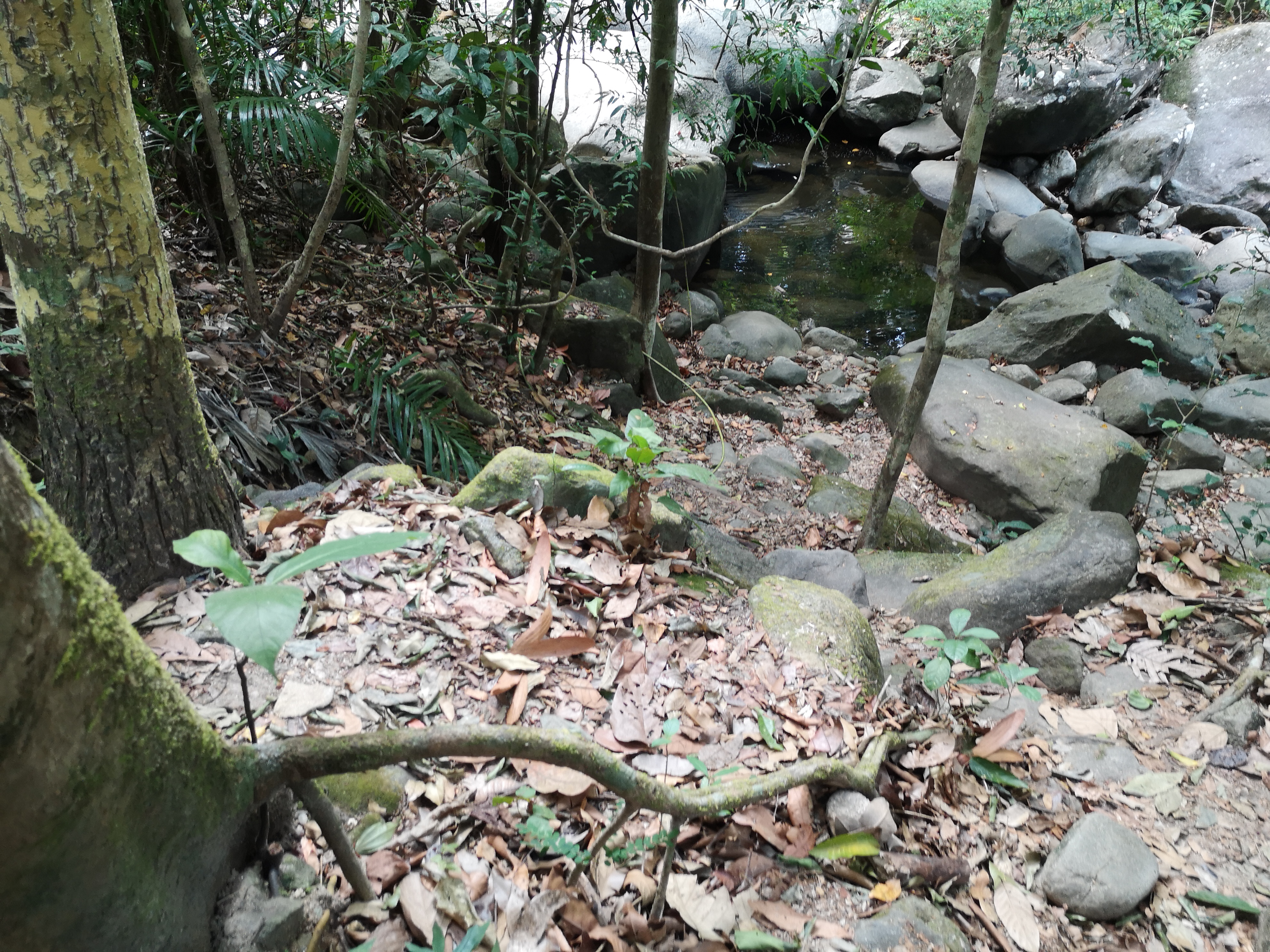 Farbfoto von einem Wasserfall am Khao Chamao Urwald im Khaochamao-Khaowong National Park in Thailand. Im April 2023. Fotograf: Erwin Thomasius.