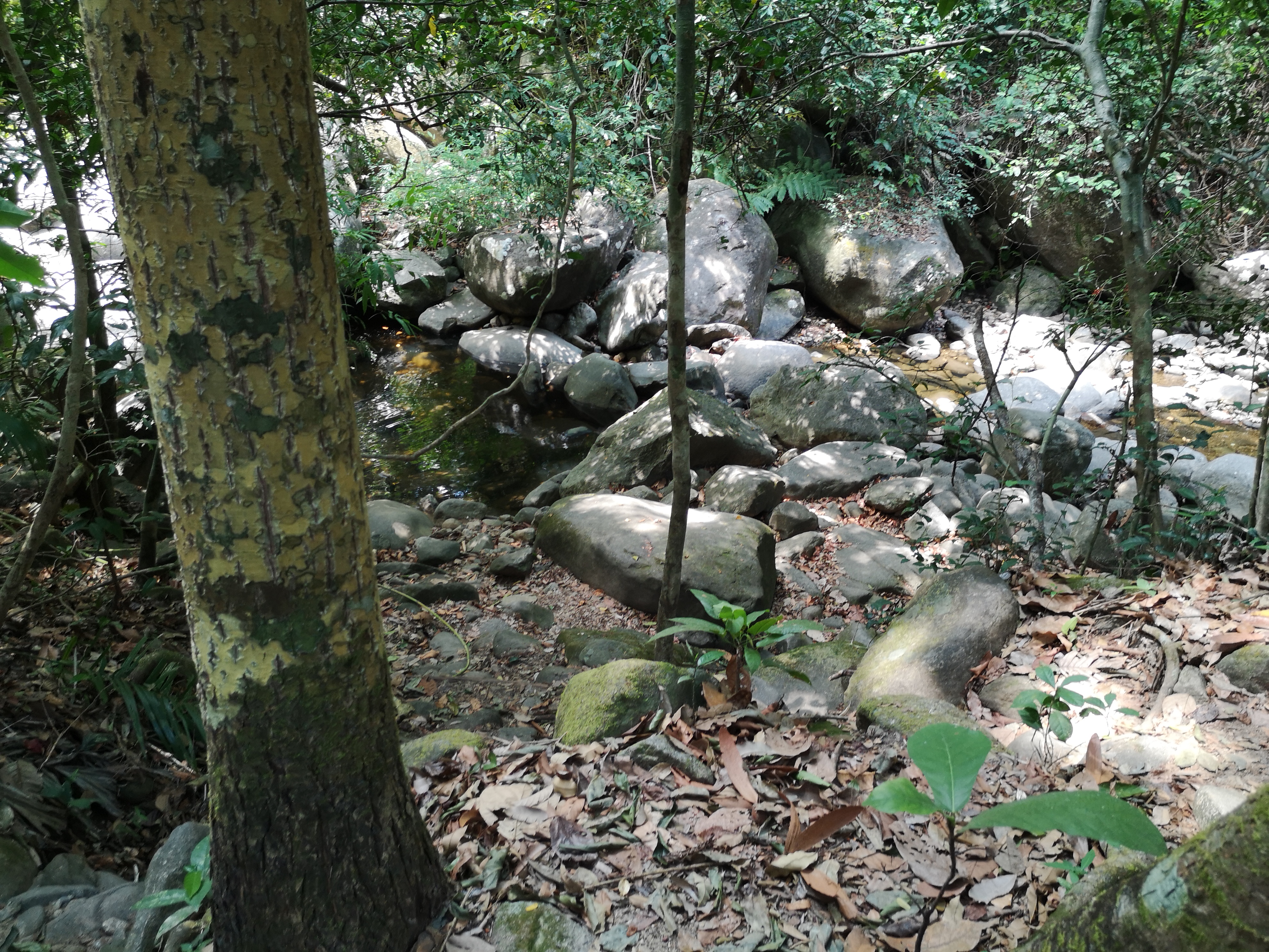 Farbfoto von einem Wasserfall am Khao Chamao Urwald im Khaochamao-Khaowong National Park in Thailand. Im April 2023. Fotograf: Erwin Thomasius.