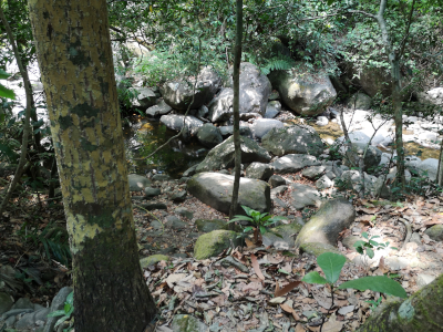 Foto vom Khao Chamao in Thailand. Im Khao Chamao und Khao Wong Nationalpark. Im April des Jahres 2023. Fotograf: Erwin Thomasius.