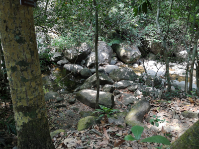 Foto vom Khao Chamao in Thailand. Im Khao Chamao und Khao Wong Nationalpark. Im April des Jahres 2023. Fotograf: Erwin Thomasius.